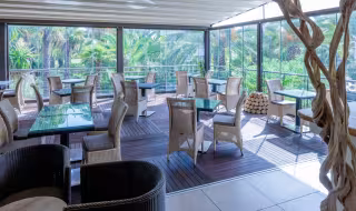 Véranda du restaurant, tables et fauteuils en osier face aux palmiers