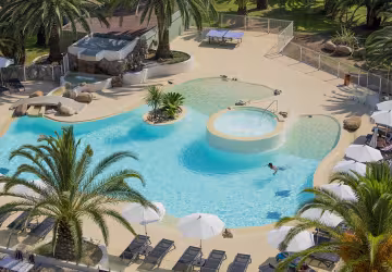 Piscine et jacuzzi entourés de palmiers et de transats, vus d'en haut