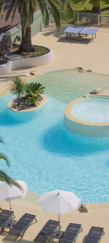 Piscine et jacuzzi entourés de palmiers et de transats, vus d'en haut